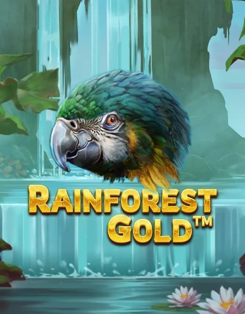 Rainforest Gold